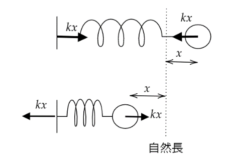 自然長からの伸び x に比例した力 kx。ばねの両端にはたらく